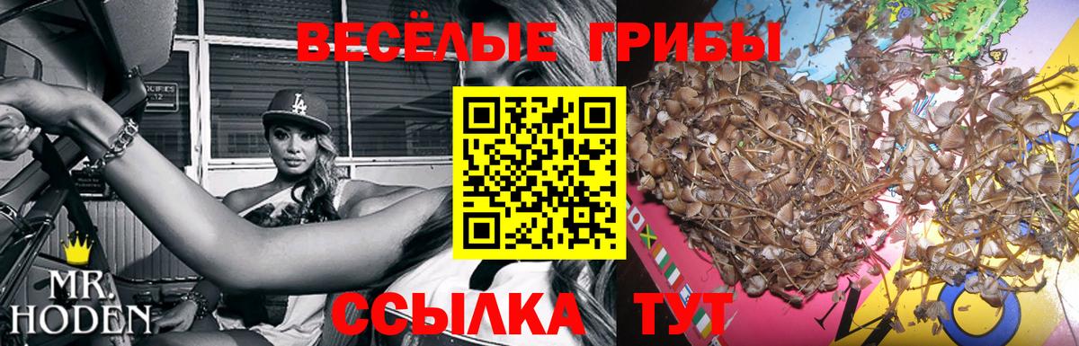 Псилоцибиновые грибы прущие грибы  Вход с VPN  как найти закладки  Партизанск 