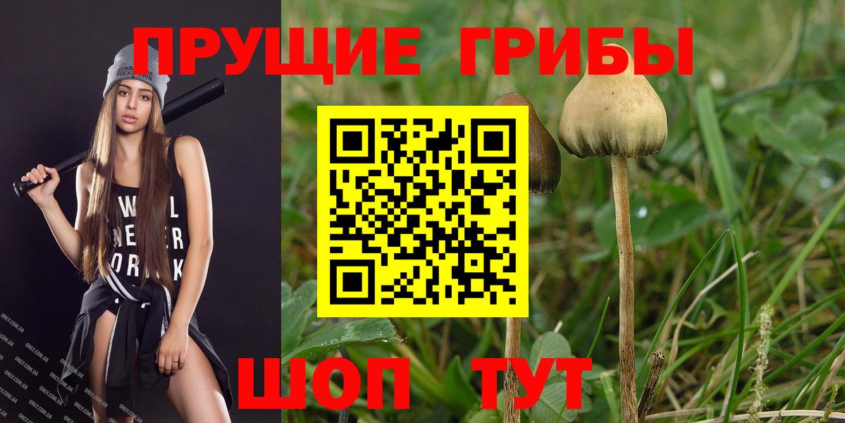 Псилоцибиновые грибы ЛСД Партизанск